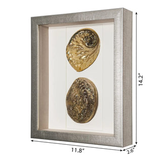 Abalone & Pearl Shell Shadow Box Wall Art Home Decor Set of 2