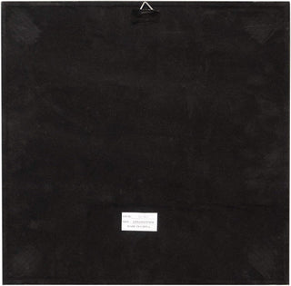 Aparmita Amitayus Shadow Box Wall Decor