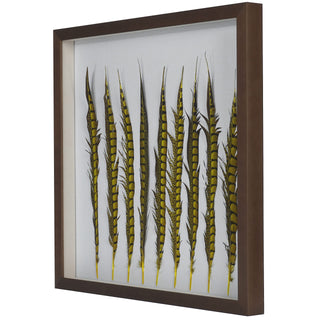 Golden Pheasant Feather Shadow Box Wall Art Décor