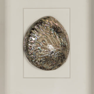 Abalone & Pearl Shell Shadow Box Wall Art Home Decor Set of 2