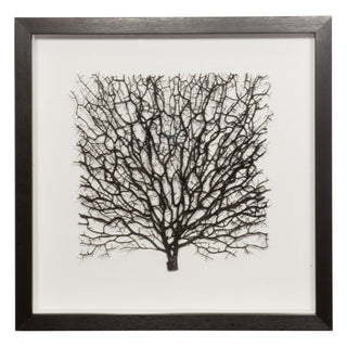 Withered Tree Shadow Box Wall Art Décor