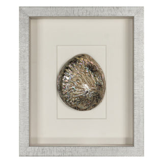 Abalone & Pearl Shell Shadow Box Wall Art Home Decor Set of 2