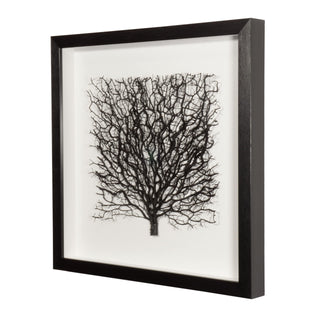 Withered Tree Shadow Box Wall Art Décor