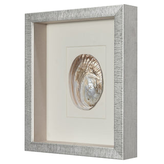 Abalone & Pearl Shell Shadow Box Wall Art Home Decor Set of 2