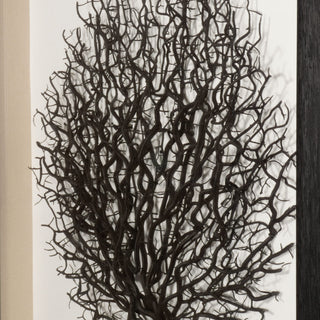 Withered Tree Shadow Box Wall Art Décor