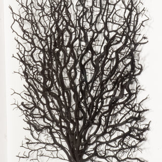 Withered Tree Shadow Box Wall Art Décor