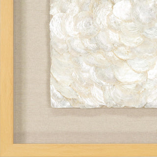 Capiz Shell Shadow Box Wall Décor