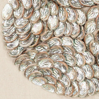 Abalone Shell Handmade Shadow Box Wall Art Décor