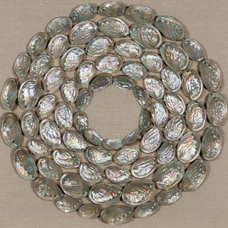 Abalone Shell Rings Shadow Box Wall Art Décor