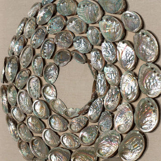 Abalone Shell Rings Shadow Box Wall Art Décor