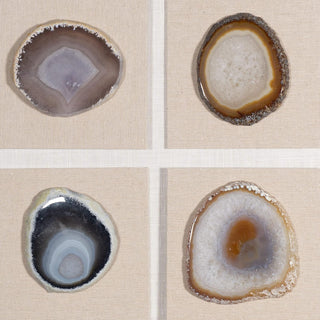 Assorted Agate Slice Wall Décor