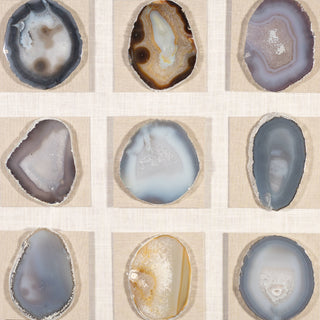 Assorted Agate Slice Wall Décor