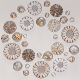 Assorted Natural Shells Shadow Box Handmade Wall Décor