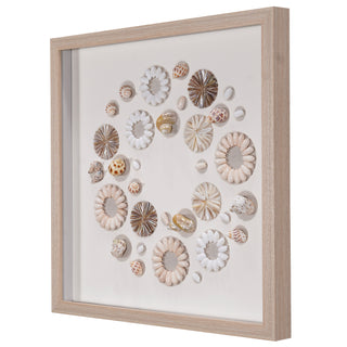 Assorted Natural Shells Shadow Box Handmade Wall Décor