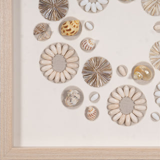 Assorted Natural Shells Shadow Box Handmade Wall Décor