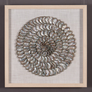 Abalone Shell Rings Handmade Wall Décor Shadow Box Wall Art (MS57045A)