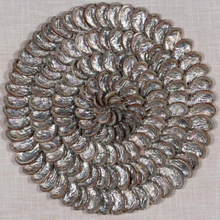 Abalone Shell Rings Handmade Wall Décor Shadow Box Wall Art (MS57045A)