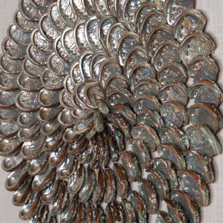 Abalone Shell Rings Handmade Wall Décor Shadow Box Wall Art (MS57045A)