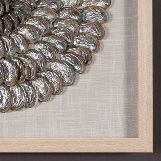 Abalone Shell Rings Handmade Wall Décor Shadow Box Wall Art (MS57045A)