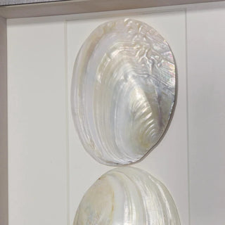 Abalone & Pearl Shell Shadow Box Wall Art Home Decor Set of 2