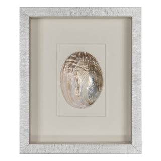 Abalone & Pearl Shell Shadow Box Wall Art Home Decor Set of 2