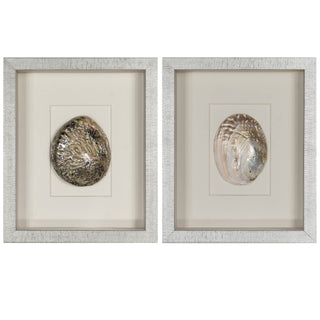 Abalone & Pearl Shell Shadow Box Wall Art Home Decor Set of 2