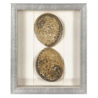 Abalone & Pearl Shell Shadow Box Wall Art Home Decor Set of 2