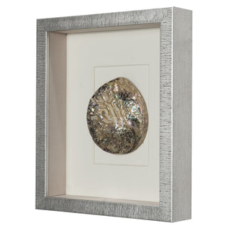 Abalone & Pearl Shell Shadow Box Wall Art Home Decor Set of 2