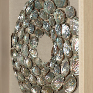 Abalone Shell Rings Shadow Box Wall Art Décor