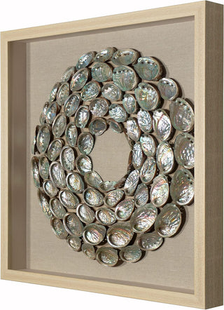 Abalone Shell Rings Shadow Box Wall Art Décor