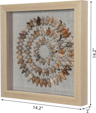 Sea Shell Rings Shadow Box Handmade Wall Art Décor Set of 2