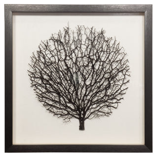 Withered Tree Shadow Box Wall Art Décor