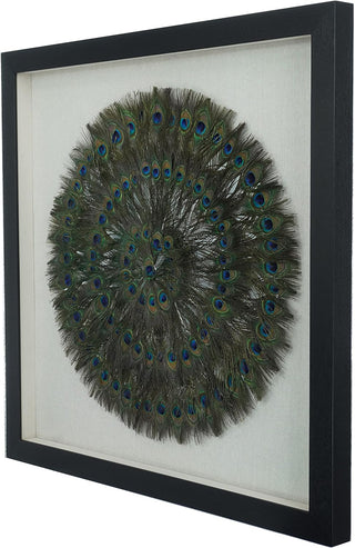 Peacock Feather Shadow Box Wall Décor