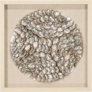 Abalone Shell Handmade Shadow Box Wall Art Décor