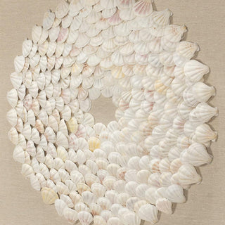 Mini Scallop Shells Handmade Shadow Box Wall Art Décor