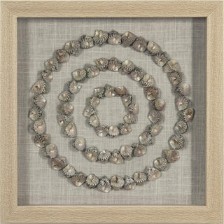 Sea Shell Rings Shadow Box Handmade Wall Art Décor Set of 2