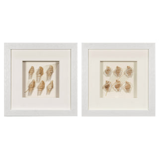 Handmade Sea Shell Shadow Box Wall Décor Set of 2