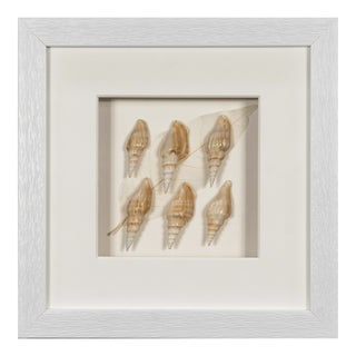 Handmade Sea Shell Shadow Box Wall Décor Set of 2