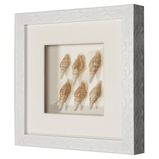 Handmade Sea Shell Shadow Box Wall Décor Set of 2