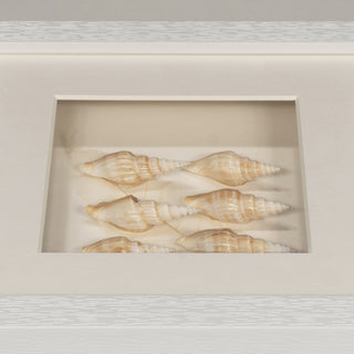 Handmade Sea Shell Shadow Box Wall Décor Set of 2