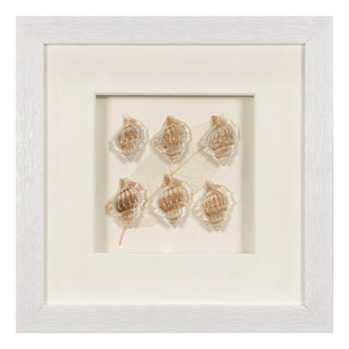 Handmade Sea Shell Shadow Box Wall Décor Set of 2