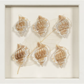 Handmade Sea Shell Shadow Box Wall Décor Set of 2