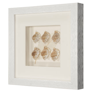 Handmade Sea Shell Shadow Box Wall Décor Set of 2