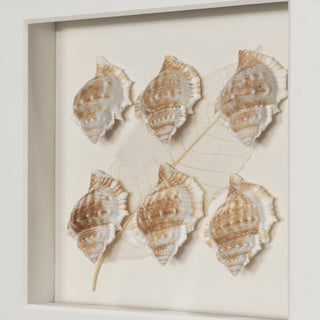 Handmade Sea Shell Shadow Box Wall Décor Set of 2