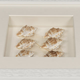 Handmade Sea Shell Shadow Box Wall Décor Set of 2