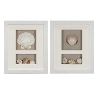 Sea Shell Beach Shadow Box Wall Décor Set of 2