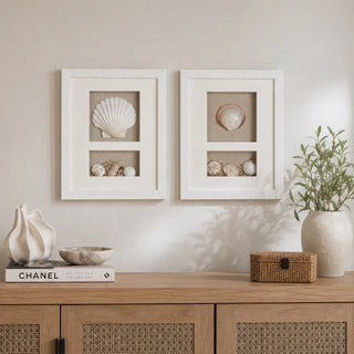 Sea Shell Beach Shadow Box Wall Décor Set of 2