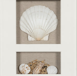 Sea Shell Beach Shadow Box Wall Décor Set of 2