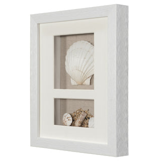 Sea Shell Beach Shadow Box Wall Décor Set of 2