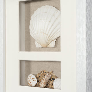 Sea Shell Beach Shadow Box Wall Décor Set of 2